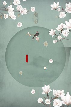 深入了解 芒果视频黄永久